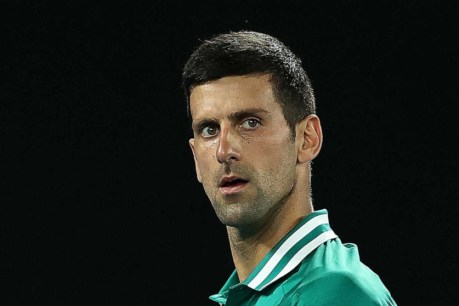 Djokovic’s bizarre admission: I was wrong about my travel history but I didn’t lie