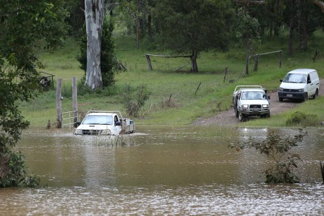 One drowned, ten missing in 400mm deluge as massive rainstorm turns deadly