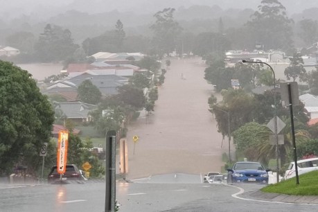 Qld’s deadly season: Summer of torrential rain claims its 15th life as emergency shifts to NSW