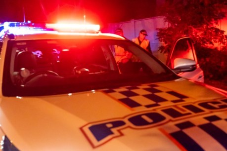 Police say suspected flood looter jumped into Brisbane River