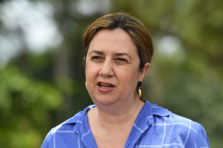 First the vision, now for the brawling over Palaszczuk’s energy plan