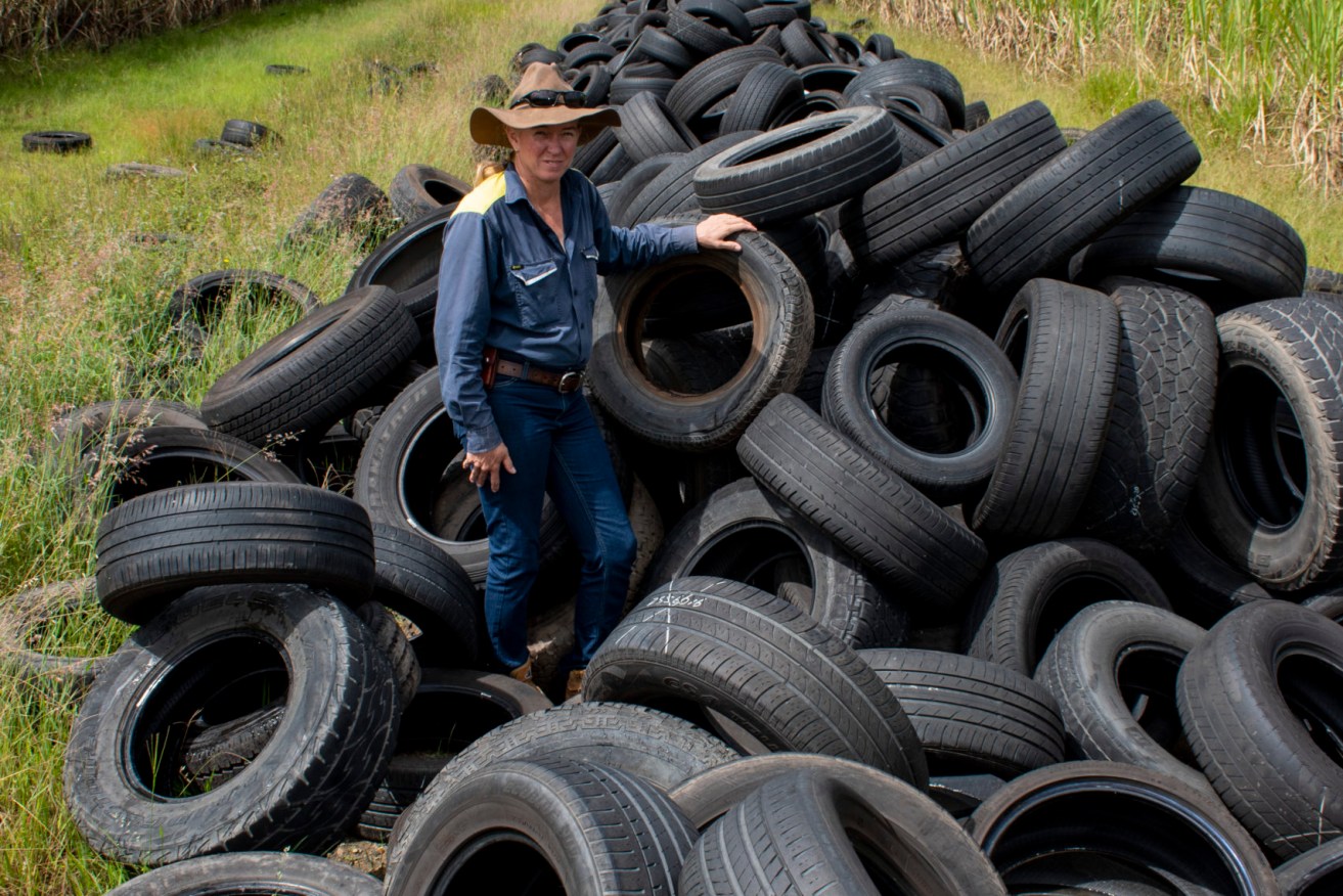 Rocky Point cane grower Suzie Burow-Pearce amid the tyres illegally dumped on her property. (Photo: Australian Canegrower)