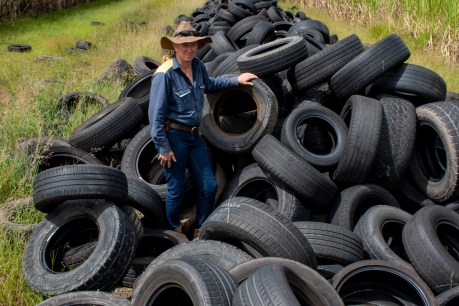 Trash talk: Why these new dumping grounds have our farmers filthy