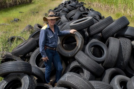 When rubber hits road: How used tyres make highways last longer