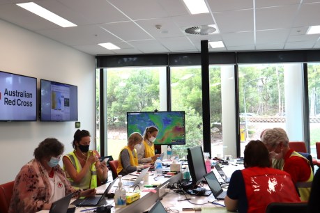 Red Cross flood response made possible by alliance with Griffith University