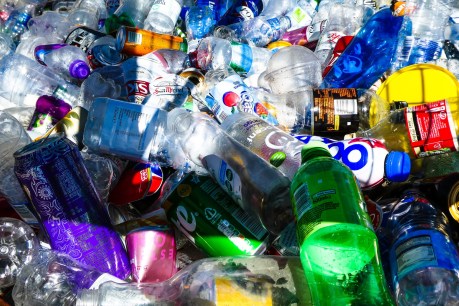 UN vote puts globe on track for plastic pollution ‘cure’