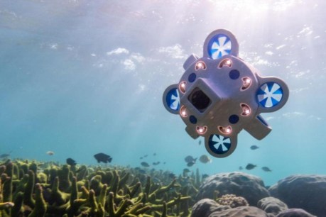 Squid games: Sea drone to propel underwater research