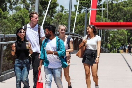 Learning and earning: Gold Coast aims to lure international students