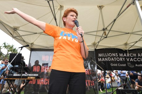 ‘Still kicking’ – Covid forces unvaccinated Pauline to finish campaign from home