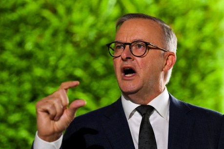 ‘Trust me’: Albanese says relations with France set to be restored