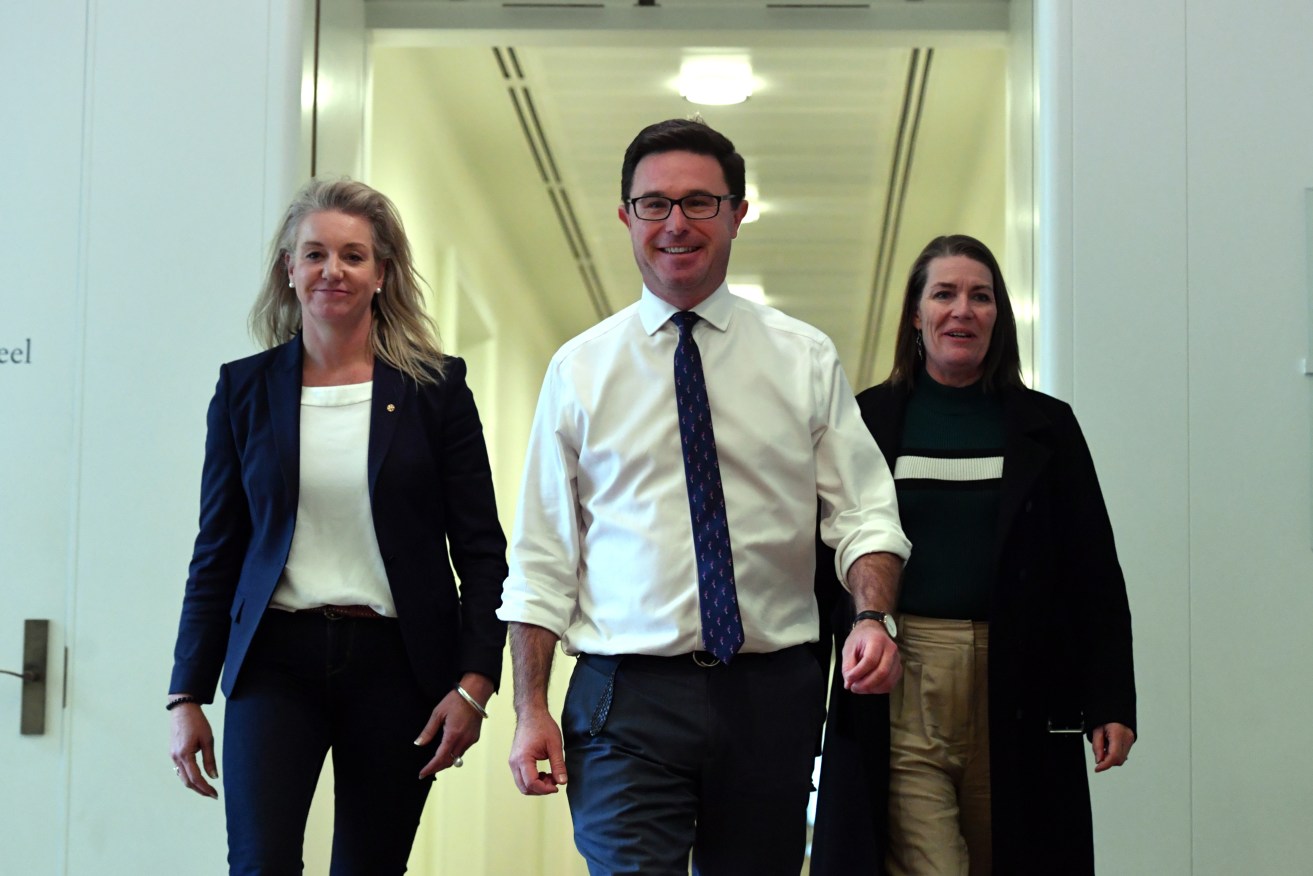 Newly elected Nationals Senate Leader Bridget McKenzie, Newly elected Nationals leader David Littleproud and newly elected Nationals Deputy Leader Perin Davey leave after a Nationals Party meeting at Parliament House in Canberra on Monday. (AAP Image/Mick Tsikas) 