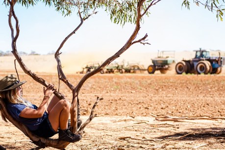 Dust and daydreams: Snapshot of life in bush earns top photo award