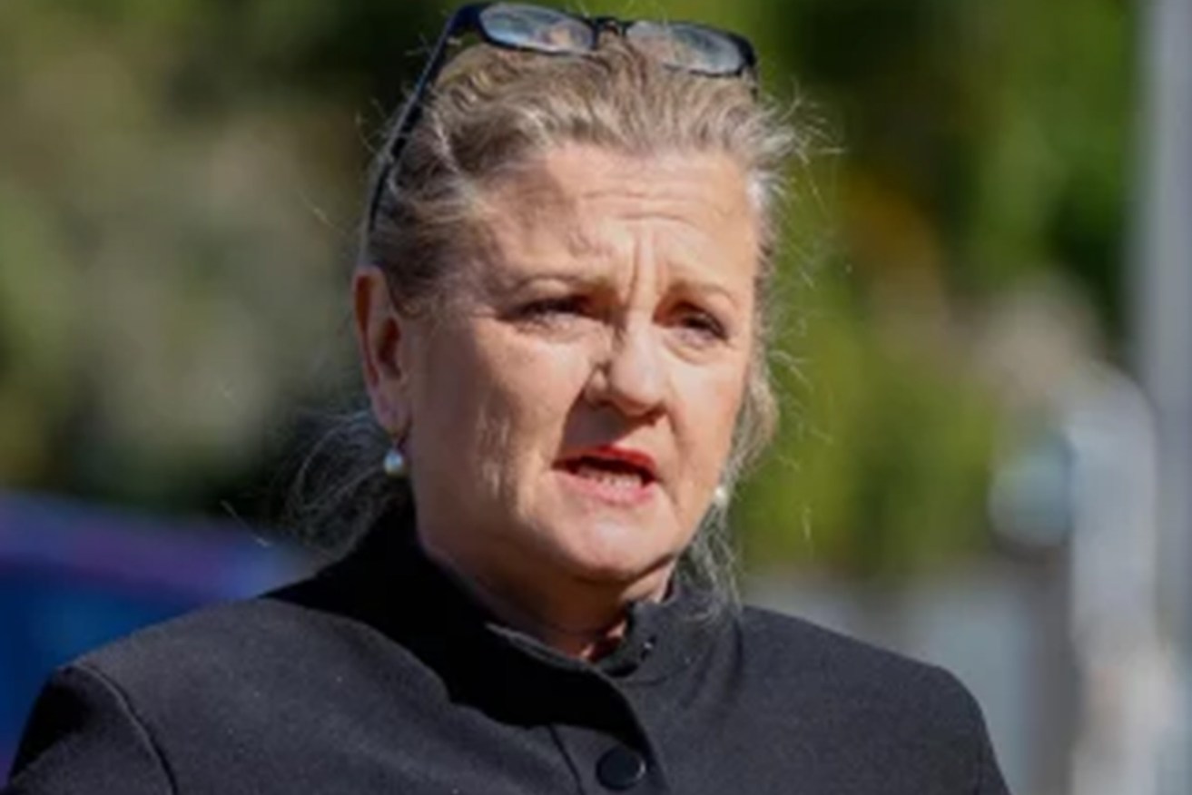 Redlands Mayor Karen Williams says she will sue Channel Nine fo defamation. (Photo: ABC).