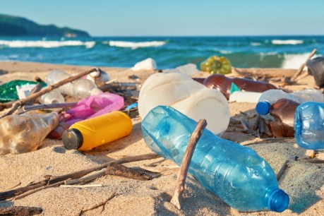 How local solutions to a global problem are reducing plastic waste on our beaches