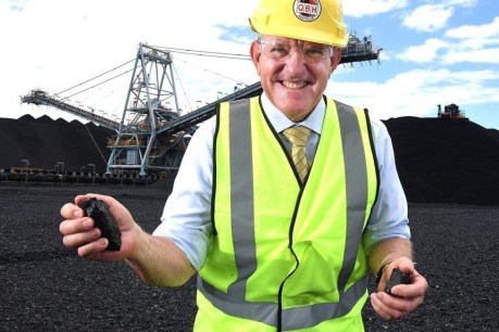 Coal wars ramp up as Premier calls for resources lobby boss to be shown the door