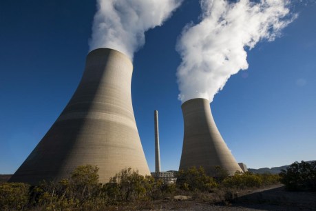 Nuclear energy? Be careful what you with for, warns Swedish expert