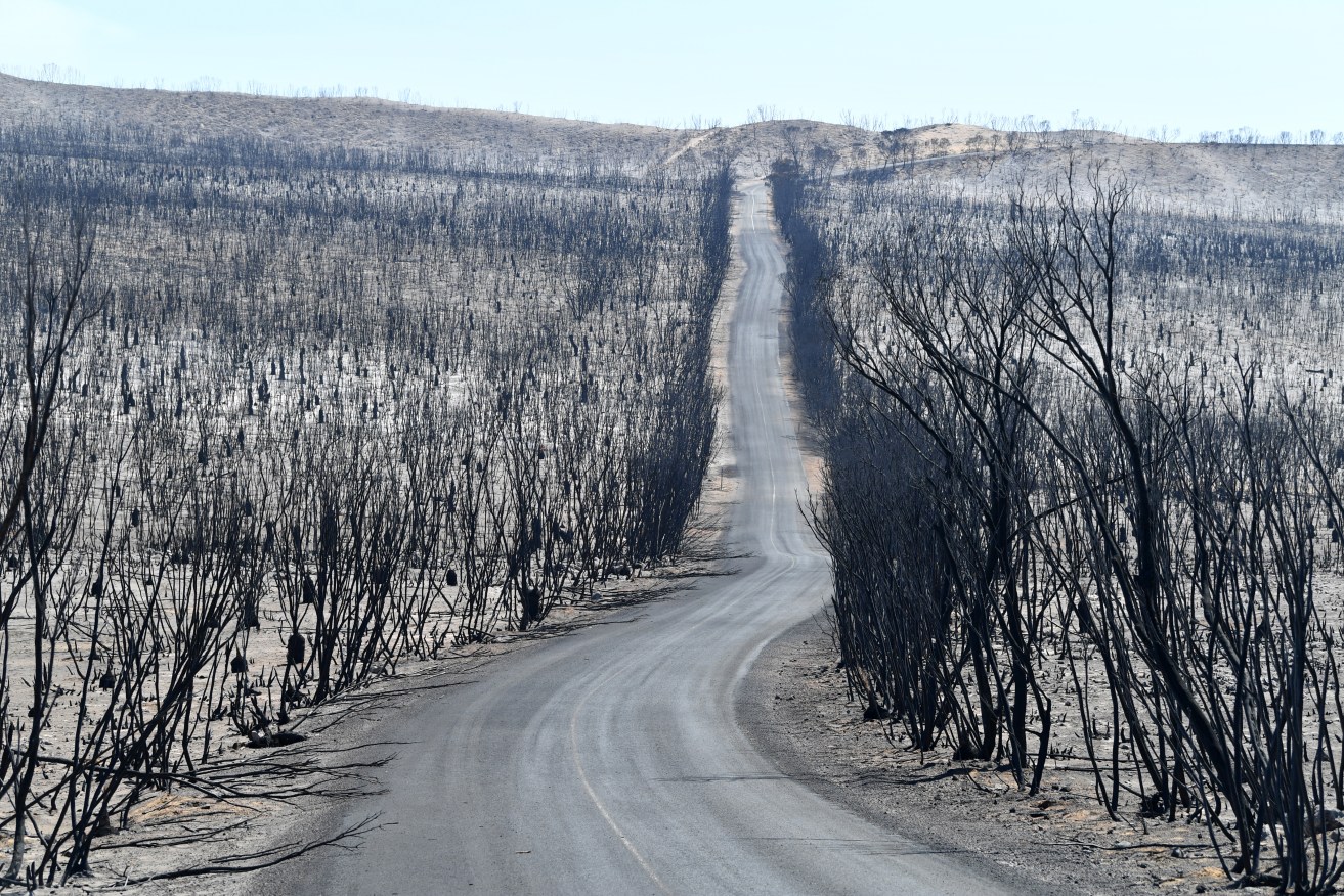 A general view of the damage done to the Flinders Chase National Park after bushfires swept through on Kangaroo Island, southwest of Adelaide, Tuesday, January 7, 2020.  (AAP Image/David Mariuz) 