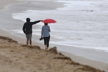 High seas, falling trees: Big blow from big low set to lash state’s south-east coastline