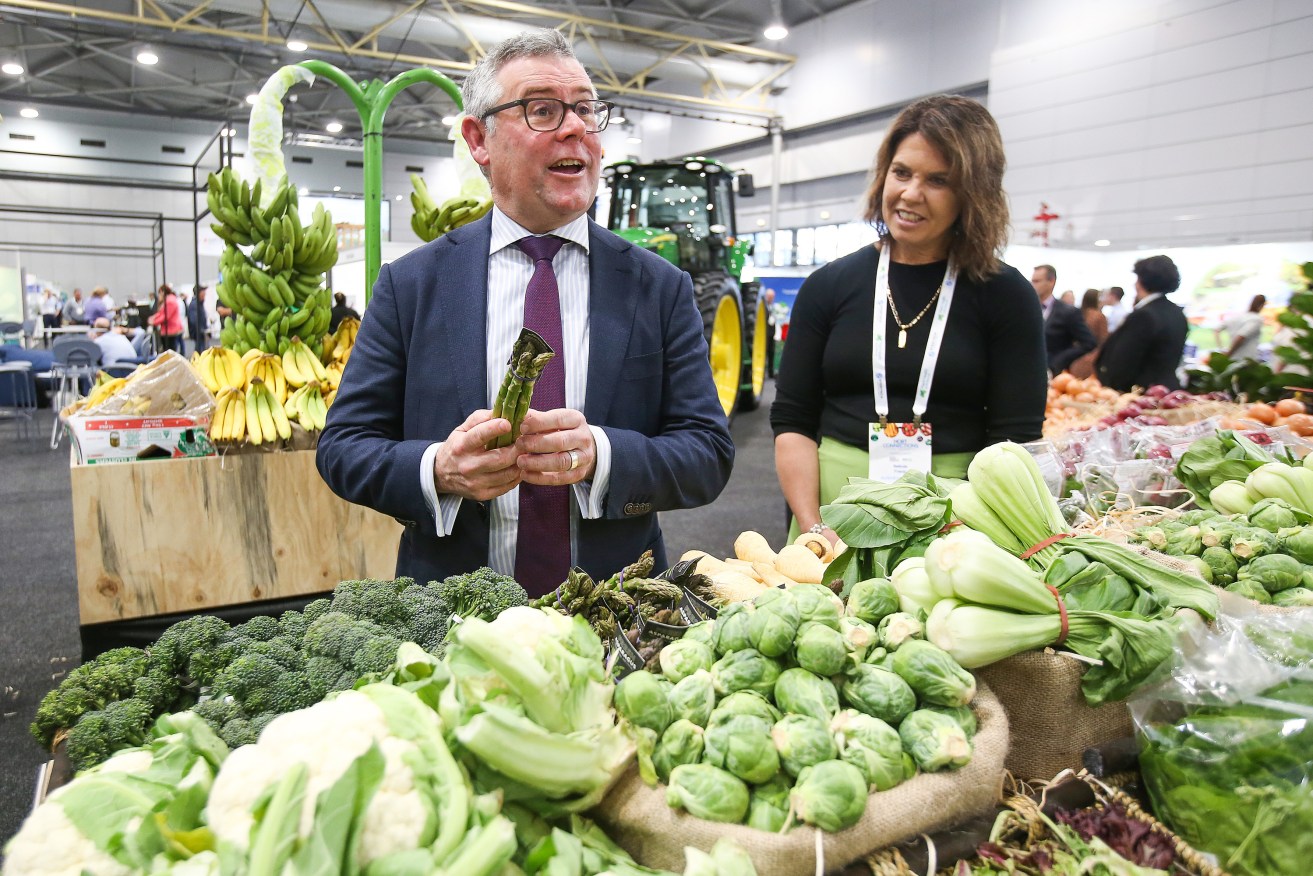 Murray Watt, Federal Minister for Agriculture, Fisheries and Forestry, has warned supermarkets against Christmas gouging. (AAP Image/Jono Searle) 