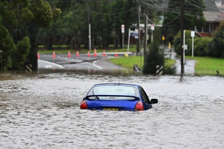 Latest Sydney deluge pushes thousands out of their homes