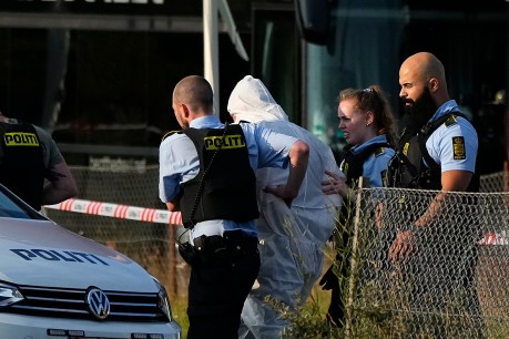 Tragedy in Denmark: Three dead in shooting spree in Copenhagen