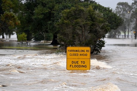 Deluge continues as Victoria joins NSW on flood watch list