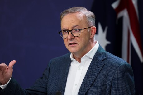Republic referendum ‘unlikely’ to happen before next poll: Albo