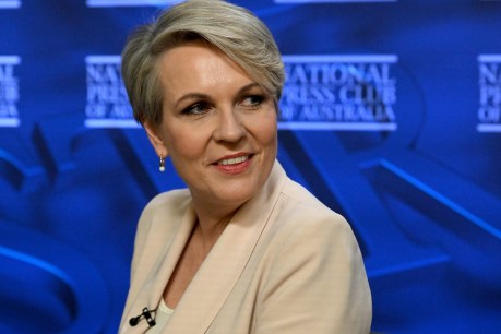 No precedent, says Plibersek, just the right thing to save the Reef