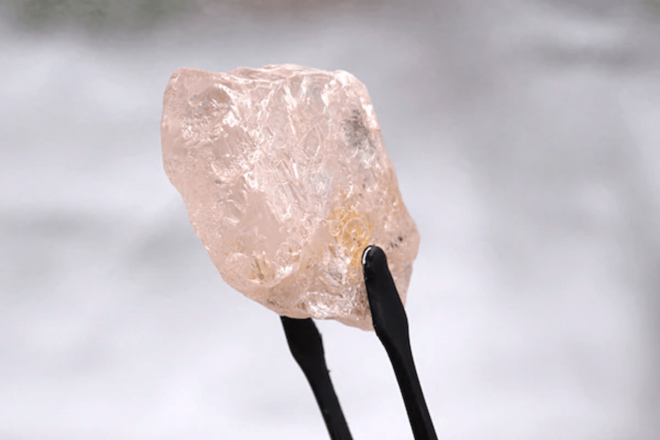 The Lulo rose is among the largest pink diamonds ever found and the largest for more than 300 years. (Lucapa Diamond Company Limited / AFP)