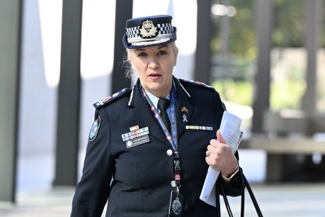 ‘It’s disgusting’: Top cop admits bullying, sexist culture rife in Queensland Police