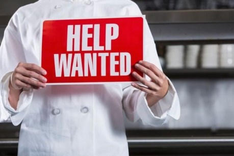 Jobs boom starts to show signs of slowing but labour shortages still a challenge