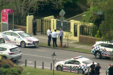 Policewoman shoots man after fellow officer stabbed in ‘tragic’ incident at Kangaroo Point