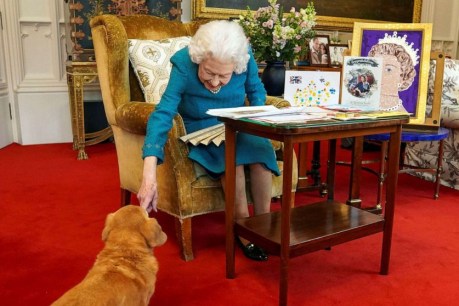 Andrew and Fergie will take care of the corgis, Palace announces