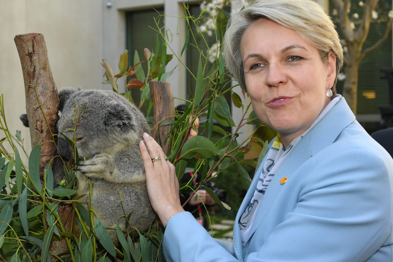 Environment Minister Tanya Plibersek. (AAP Image/Mick Tsikas) 