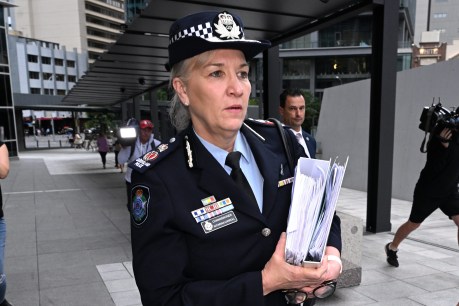 Premier backs top cop as damning domestic violence report looms