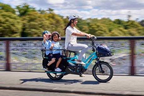 E-bikes: So hot right now but could they replace the second family car?