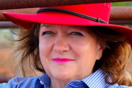 Rinehart’s plan for 150 gas wells is ‘death by a thousand cuts’ for koalas