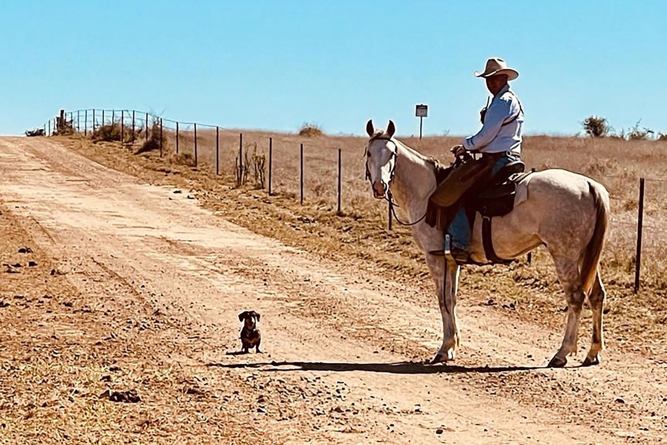 Tom Strachan on his beloved cutting horse, along with Woody the sausage dog. (Image: Supplied)