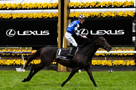 Gold Trip’s the light fantastic in thrilling Melbourne Cup win
