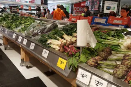 Greens’ plan for grocery crackdown may leave shoppers further in the red