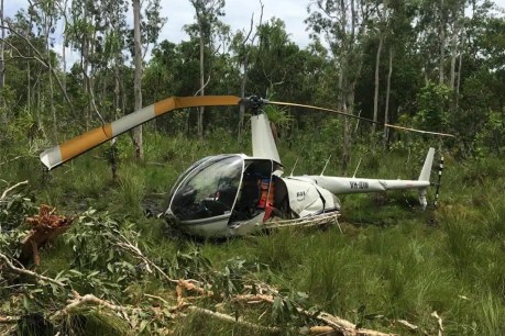 TV star to be charged over fatal chopper crash