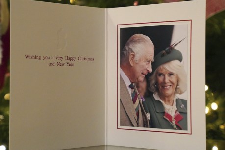 Royal Mail: King Charles sends out first Christmas card with Consort Camilla