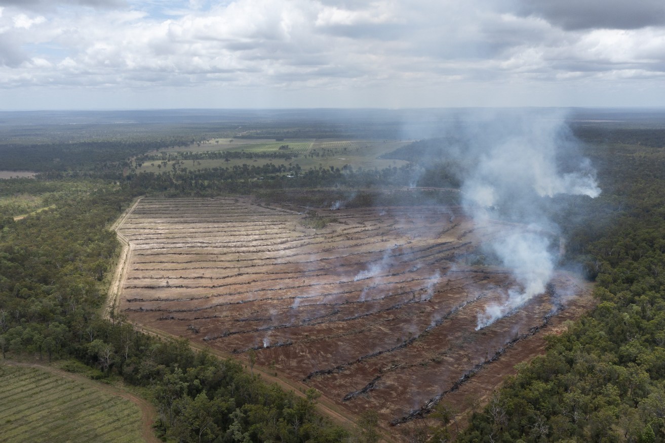 An image of cleared land at an undisclosed location supplied by the Queensland Conservation Council.
