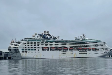 Ocean search finds body of woman who fell from cruise ship