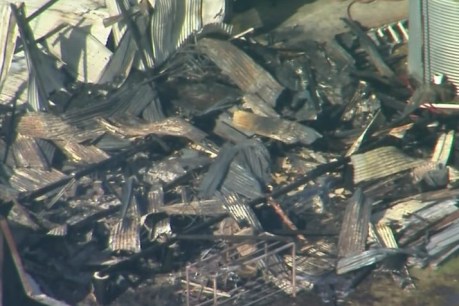 Two feared burned alive as human remains found in Maryborough shed fire