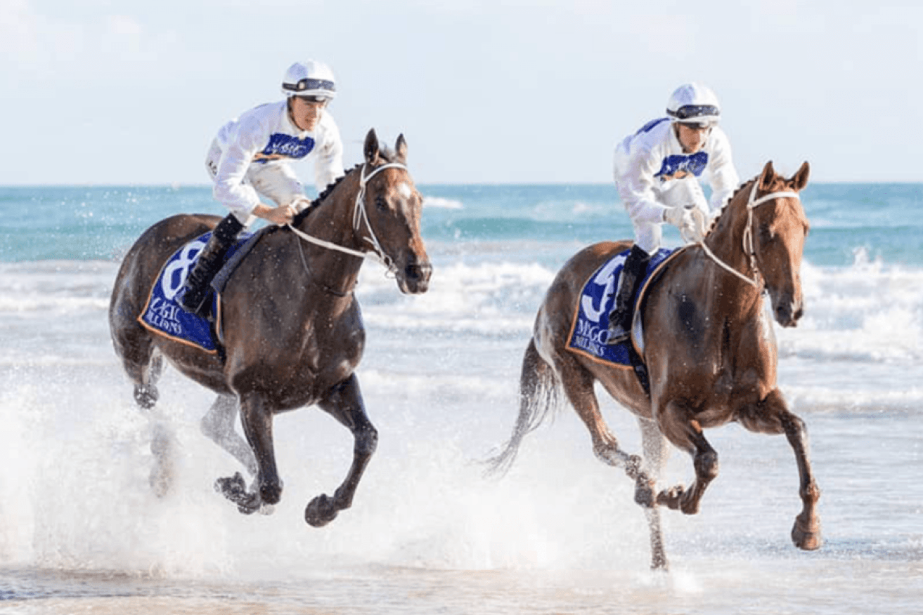 The Gold Coast Magic Millions barrier draw event went badly astray when two horses threw their jokes and escaped onto city streets. (Image: Queensland.com.au)