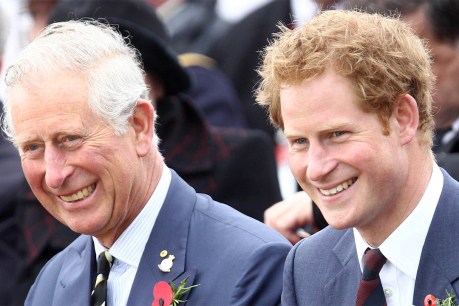 Blinded by the light: Why Harry’s betrayal of his family has left King Charles facing crisis