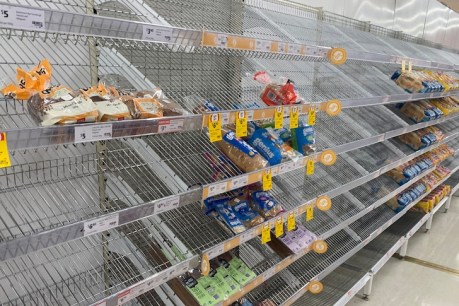 Empty shelves greet locals as rains finally stop, North tackles huge cleanup