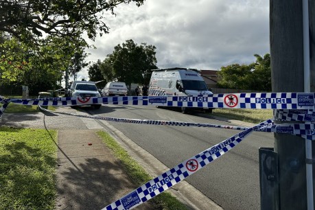 Logan street brawl leaves young man stabbed to death