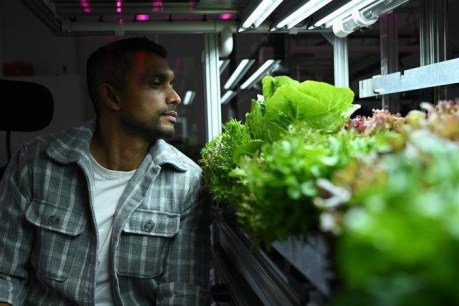 Green thumbs for the Red Planet: Can we grow salads in outer space?